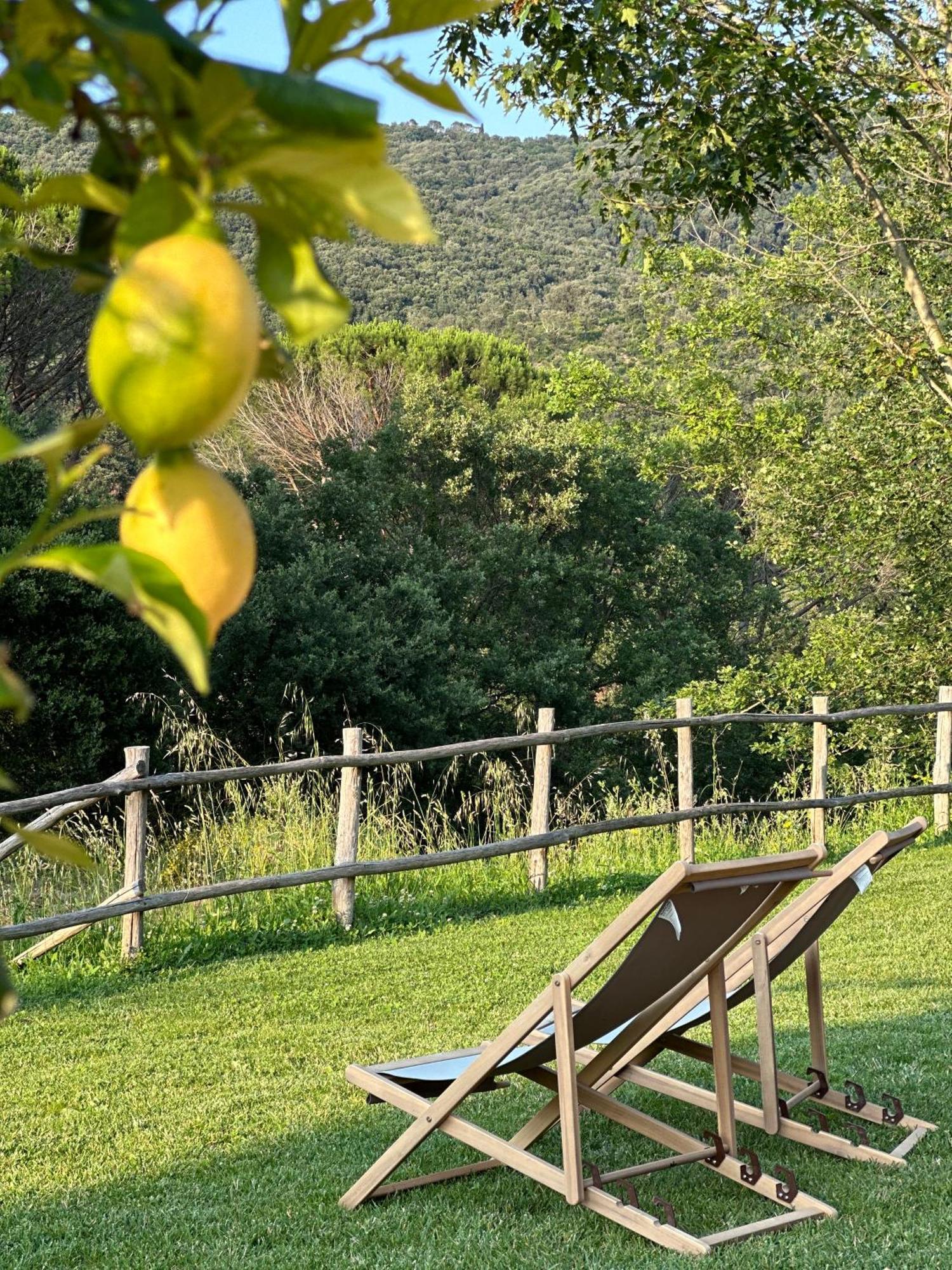 Gio Toscana Castiglione della Pescaia Buitenkant foto