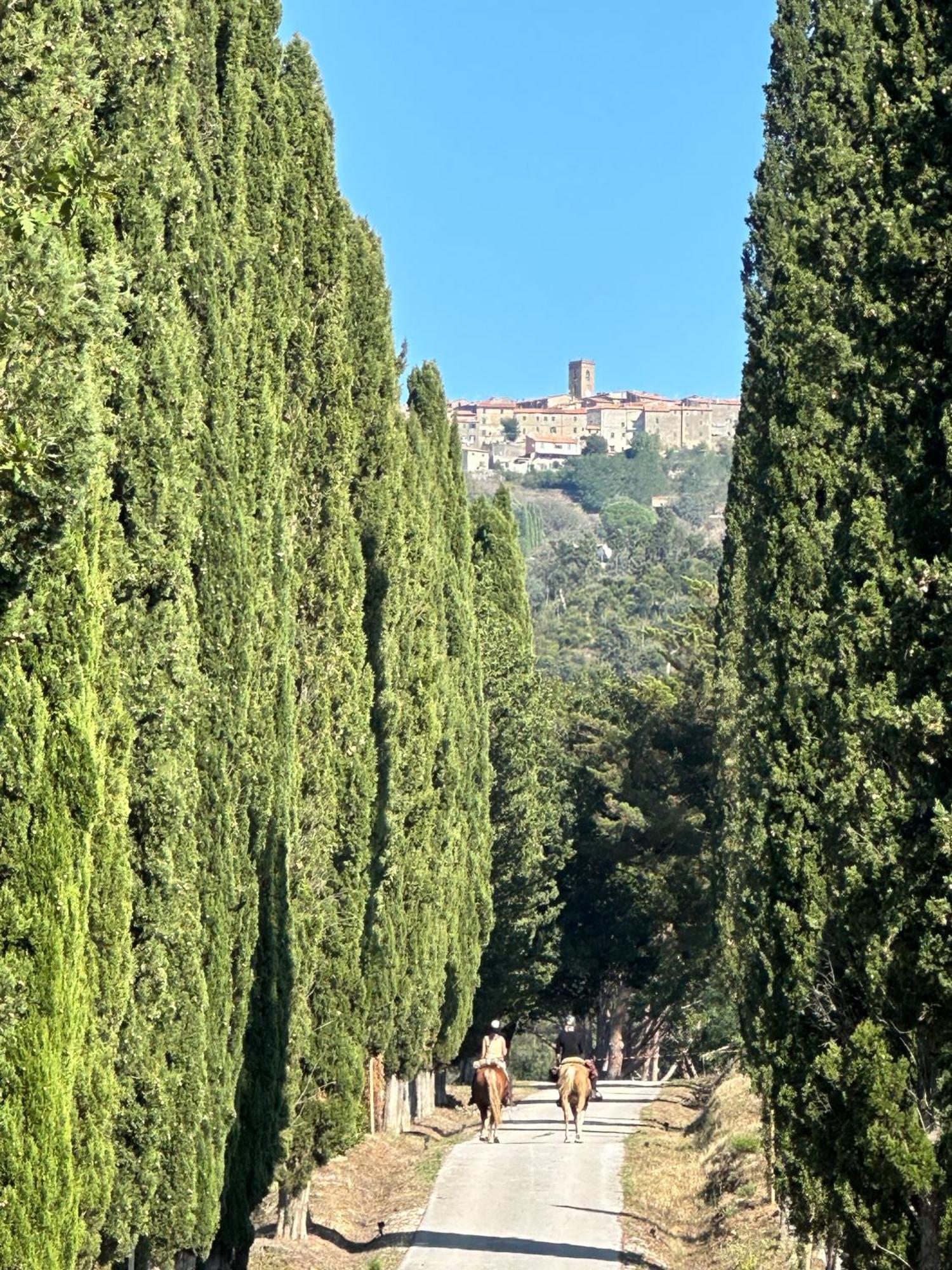 Gio Toscana Castiglione della Pescaia Buitenkant foto